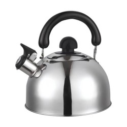 Ceainic din inox cu fluier HAUSBERG HB-H465IN, pentru Plita gaz, ceramica, electrica & inductie, Capacitate 2L