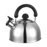 Ceainic din inox cu fluier HAUSBERG HB-H465IN, pentru Plita gaz, ceramica, electrica & inductie, Capacitate 2L